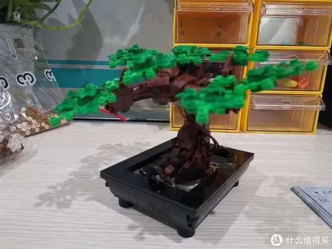 老杨的玩具仓库 篇六十四：LEGO 花草植物系列 10281 盆景盆栽 评测