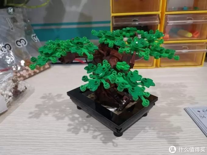 老杨的玩具仓库 篇六十四：LEGO 花草植物系列 10281 盆景盆栽 评测