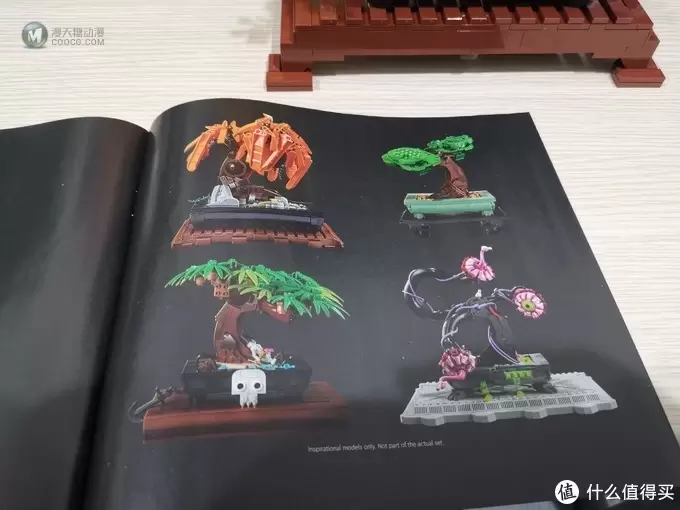 老杨的玩具仓库 篇六十四：LEGO 花草植物系列 10281 盆景盆栽 评测