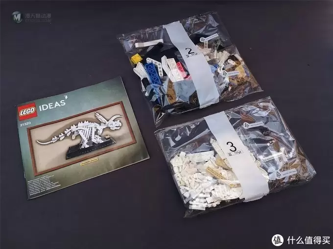 Lego因你而乐：我的乐高恐龙博物馆之Lego 31058恐龙三合一&21320恐龙化石