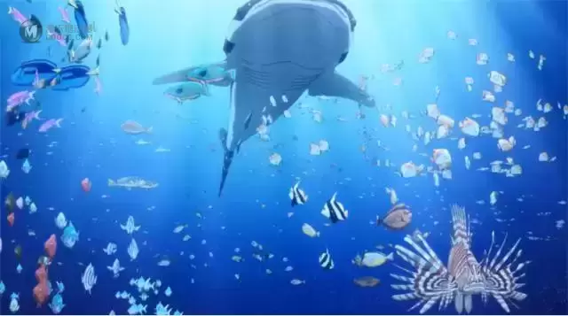 电视动画「白沙的水族馆」公开后半期最新第3弹PV