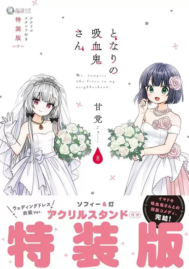 漫画「邻家的吸血鬼小妹」最终卷第8卷封面图公开