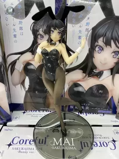 Coreful Figure 租借女友 水原千鹤