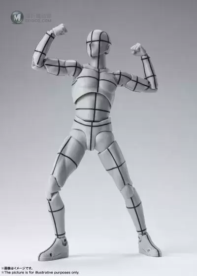 S.H.Figuarts 男性素体 -辅助线- (灰色)