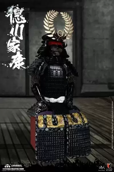 SE086 帝国系列 - 征夷大将军 德川家康（珍藏版）